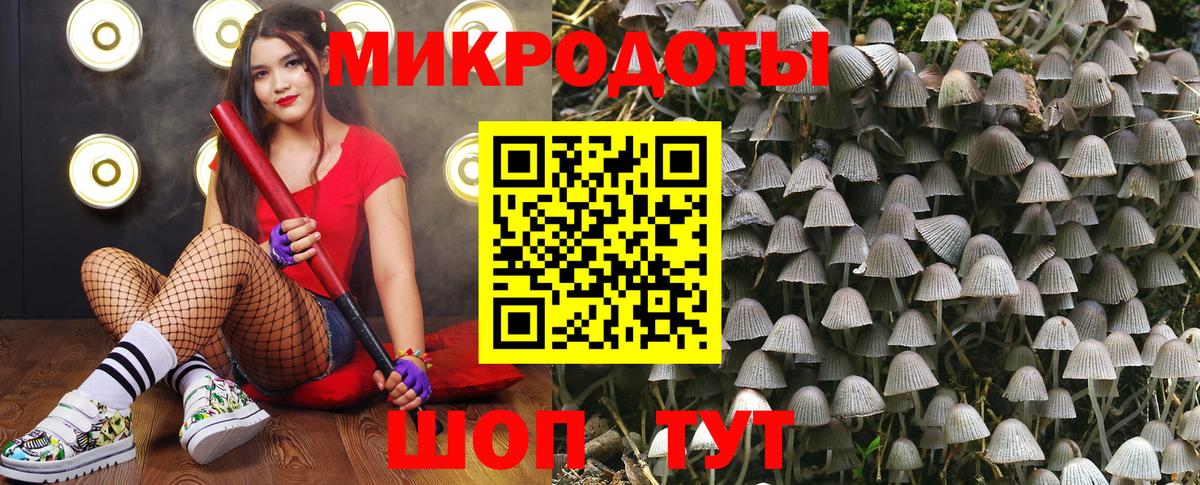 Вязьма  где найти наркотики  Вход с VPN  Галлюциногенные грибы мухоморы 